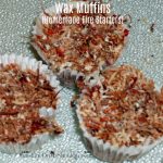 Wax Muffins Homemade Firestarters Made in a Solar Oven