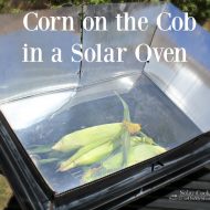 Solar Cooked Corn on the Cob