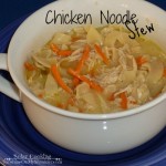 Chicken Noodle Stew in the Solar Oven