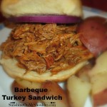 Solar Barbeque Turkey Sandwich