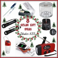 8 Solar Gift Ideas under $25