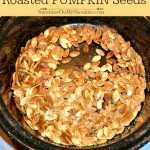 Roasted Pumpkin Seeds in a solar oven
