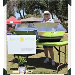 Solar Cooking Demo at Celebrate Mesa’s Living Green Village