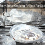 Easy Science Project for Kids