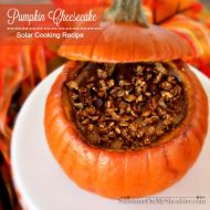How To Make Pumpkin Cheesecake in a Pumpkin Shell in a Solar Oven