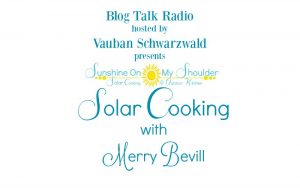 Introduction to Solar Cooking on Blog Talk Radio Podcast